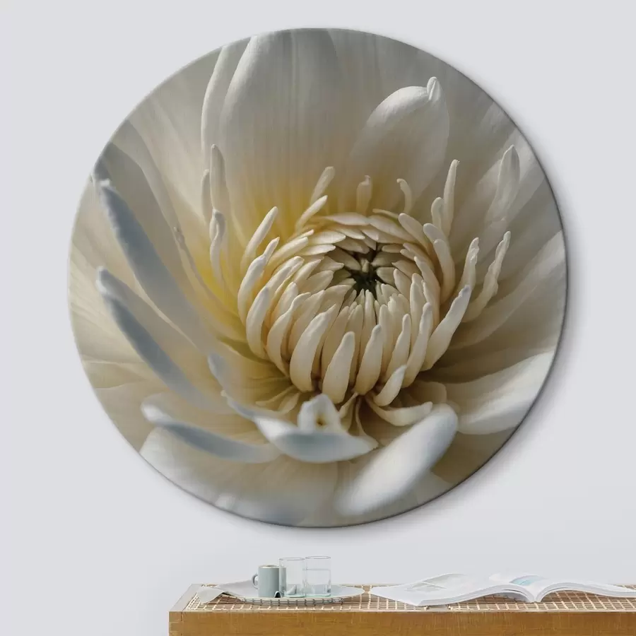 carta da parati Nucleo del fiore nr. r43879