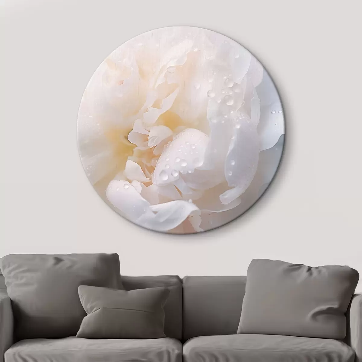 Quadri rotondi Fiore bianco con rugiada r43953