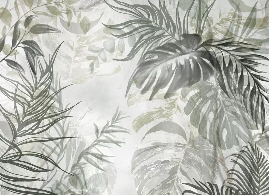 Carta da parati nature Monstera e foglie di palma nei toni del verde e del grigio, botanica, fogliame tropicale, piante della giungla, sfondo strutturato 