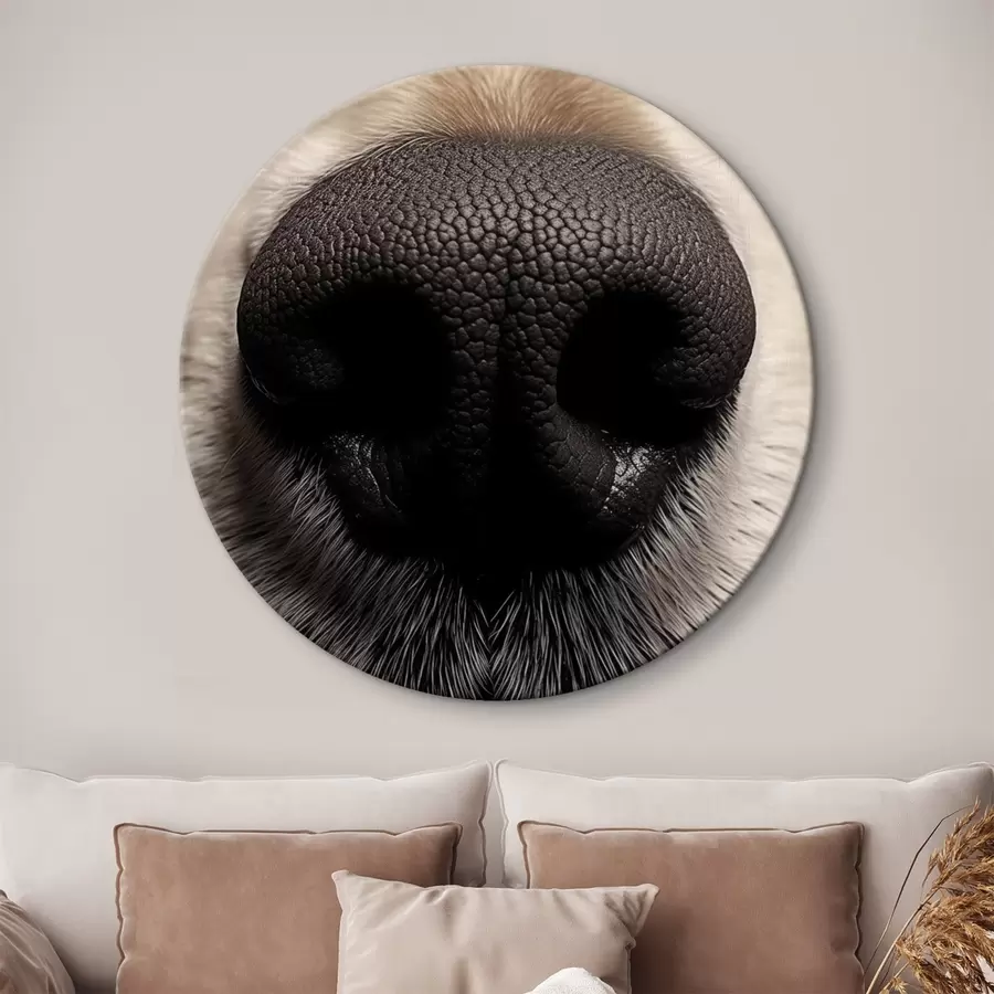 carta da parati Naso del cane nr. r44273