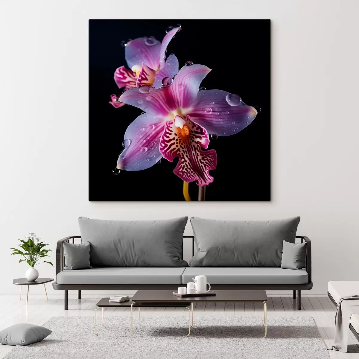 carta da parati Gocce d'acqua sui petali di orchidea nr. s44356