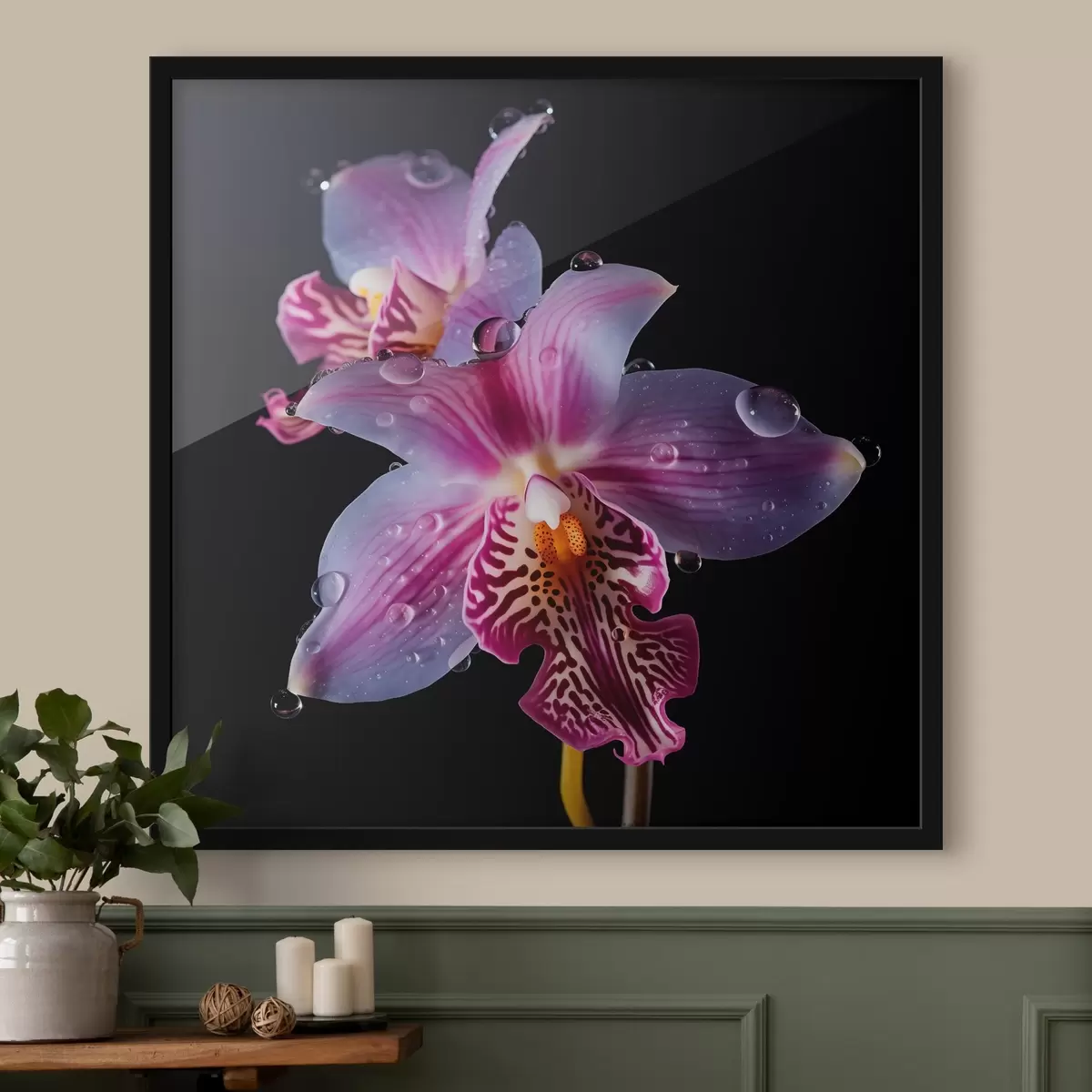 Poster Gocce d'acqua sui petali di orchidea f44356