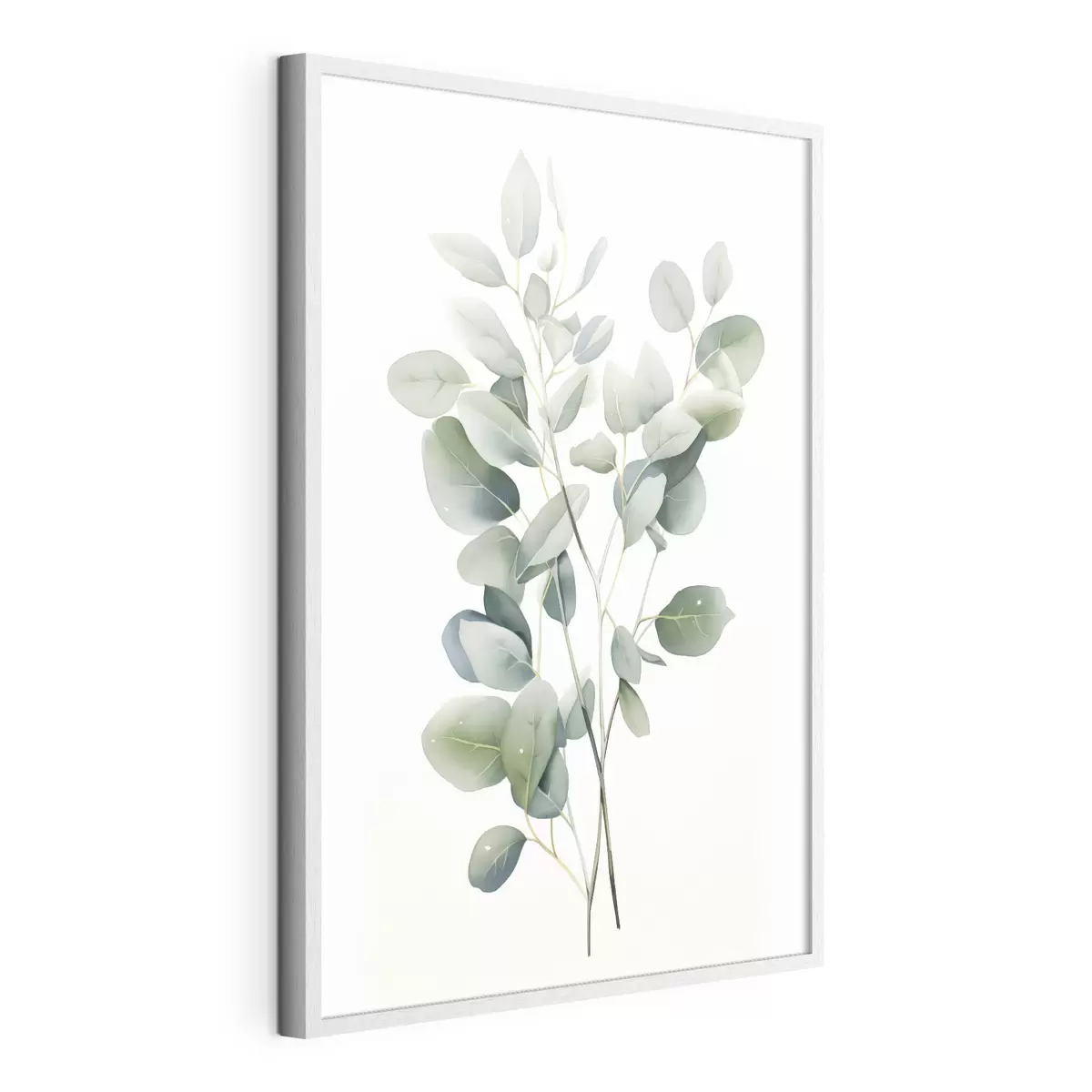 Poster Eucalipto f44676