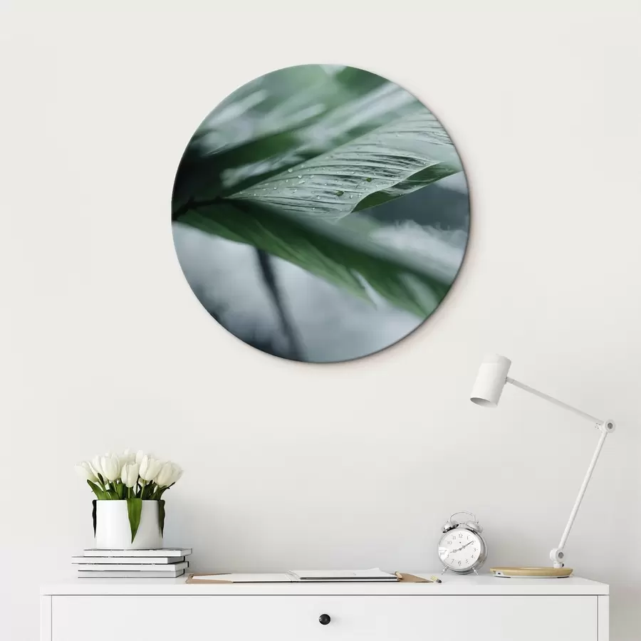 carta da parati Composizione minimalista di anelli di terracotta e geometria nr. r44902