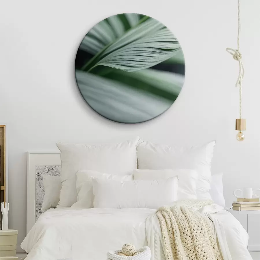 carta da parati Foglie tropicali con gocce d'acqua in un ambiente nebbioso nr. r44903