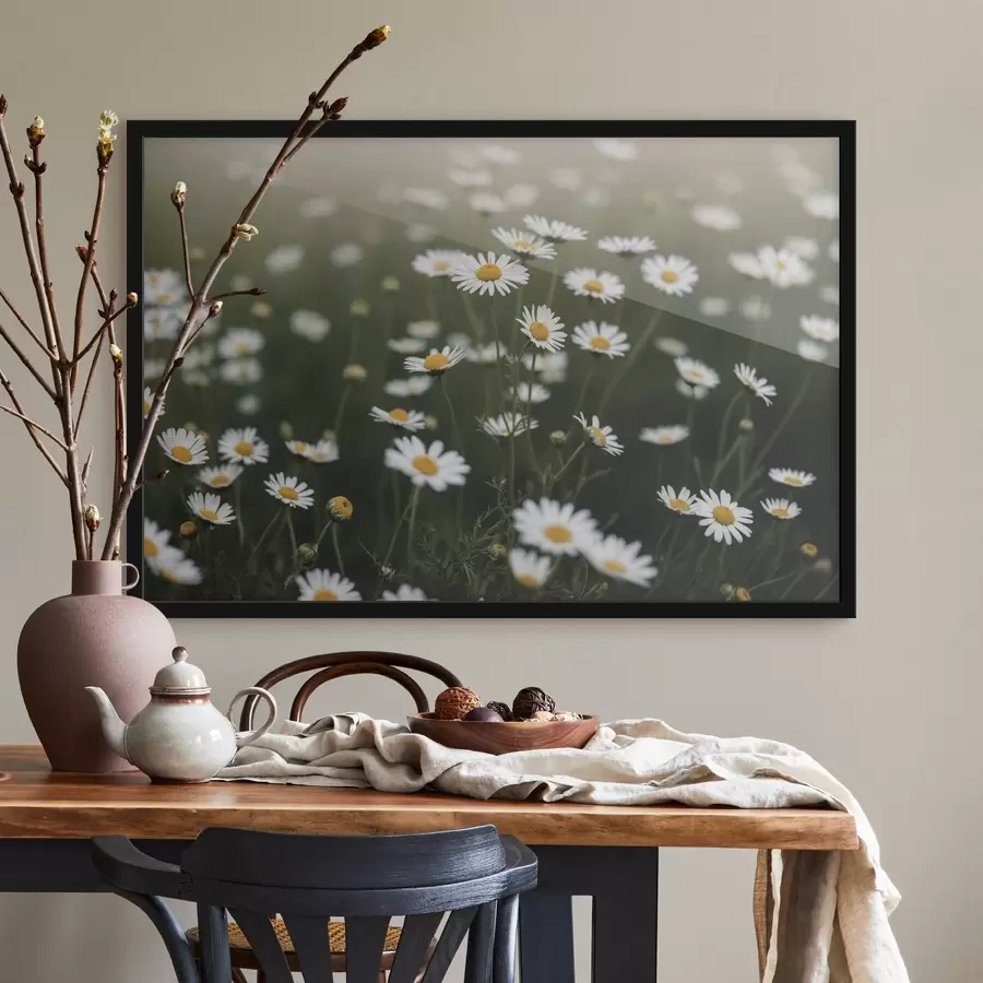 carta da parati Campo di margherite con sfondo verde sfocato nr. f44898