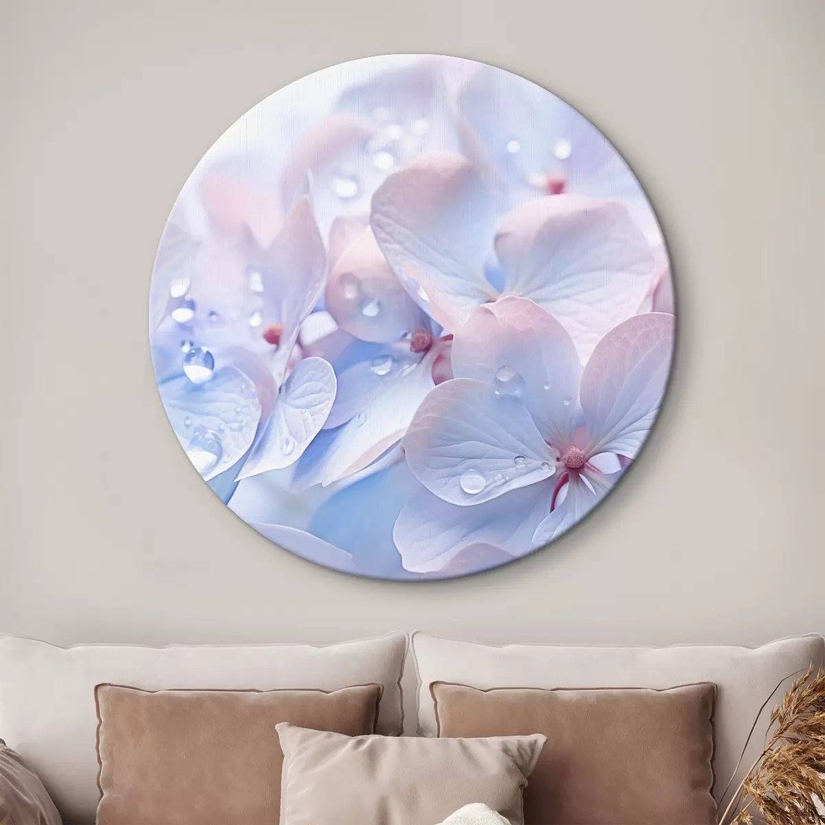 Quadri rotondi Fiori di ortensia con gocce d'acqua sui delicati petali, colori tenui e pastello, azzurro e rosa r44929