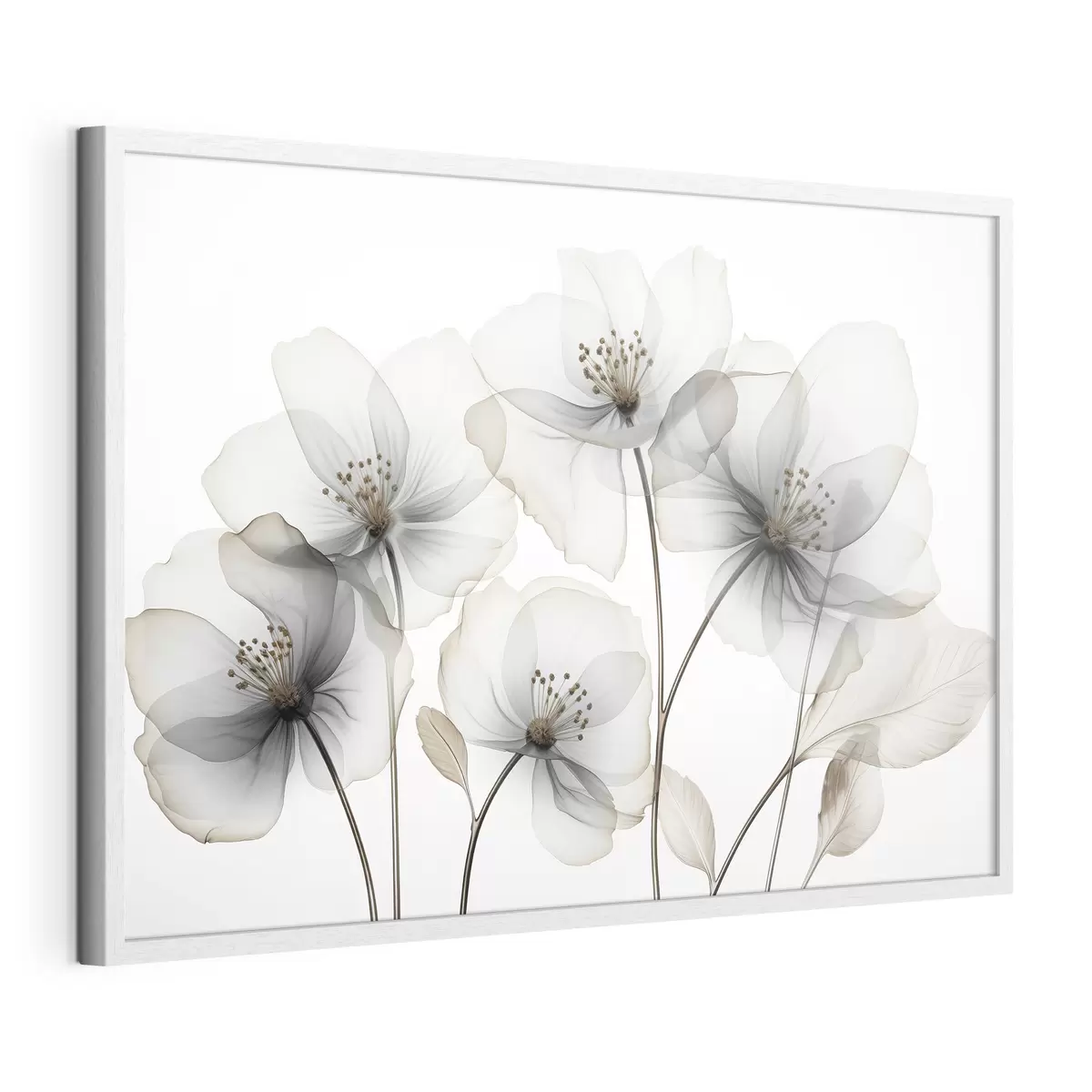 Poster Volo e anima f45066