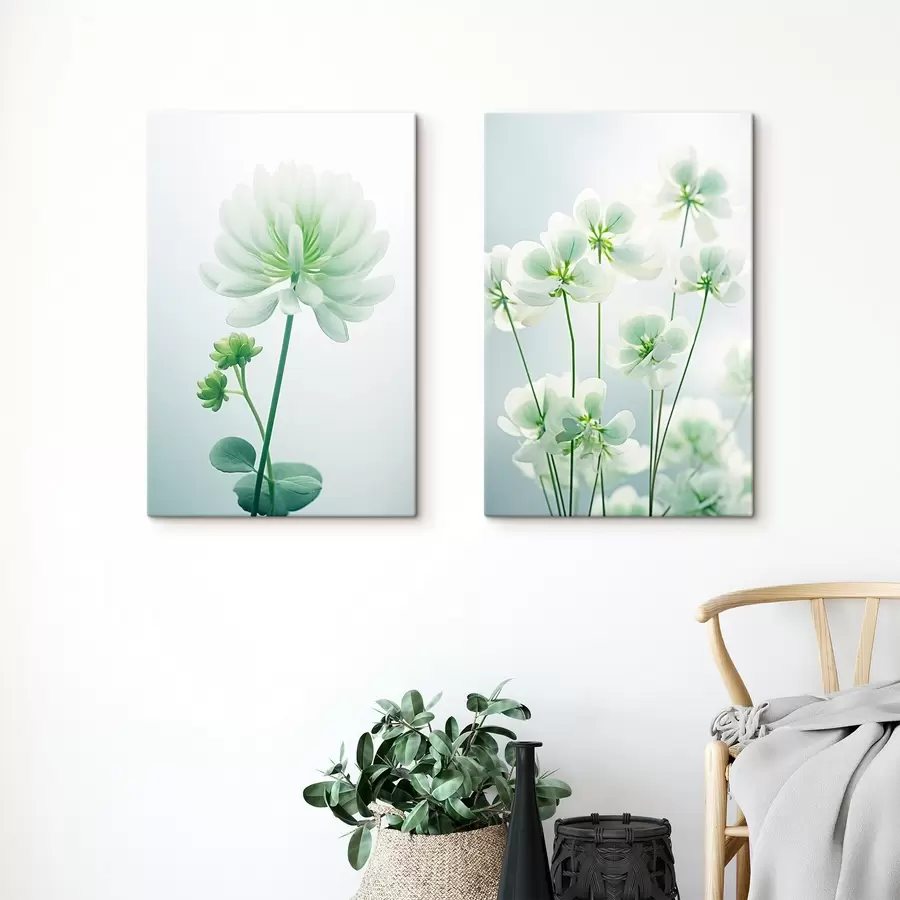 carta da parati Fiori di trifoglio bianco con stelo e foglie verdi, luce soffusa, sfondo pulito, composizione minimalista, botanica nr. m00520