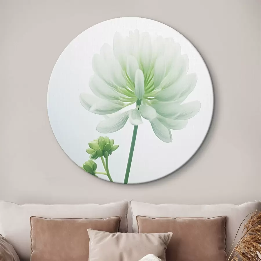 carta da parati Fiore di trifoglio bianco con stelo e foglie verdi, illuminazione soffusa, sfondo pulito, composizione minimalista, botanica nr. r45171