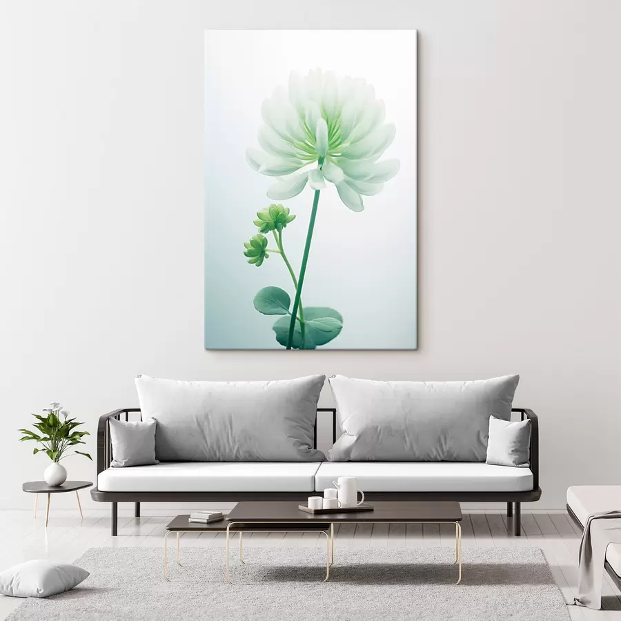 carta da parati Fiore di trifoglio bianco con stelo e foglie verdi, illuminazione soffusa, sfondo pulito, composizione minimalista, botanica nr. s45171