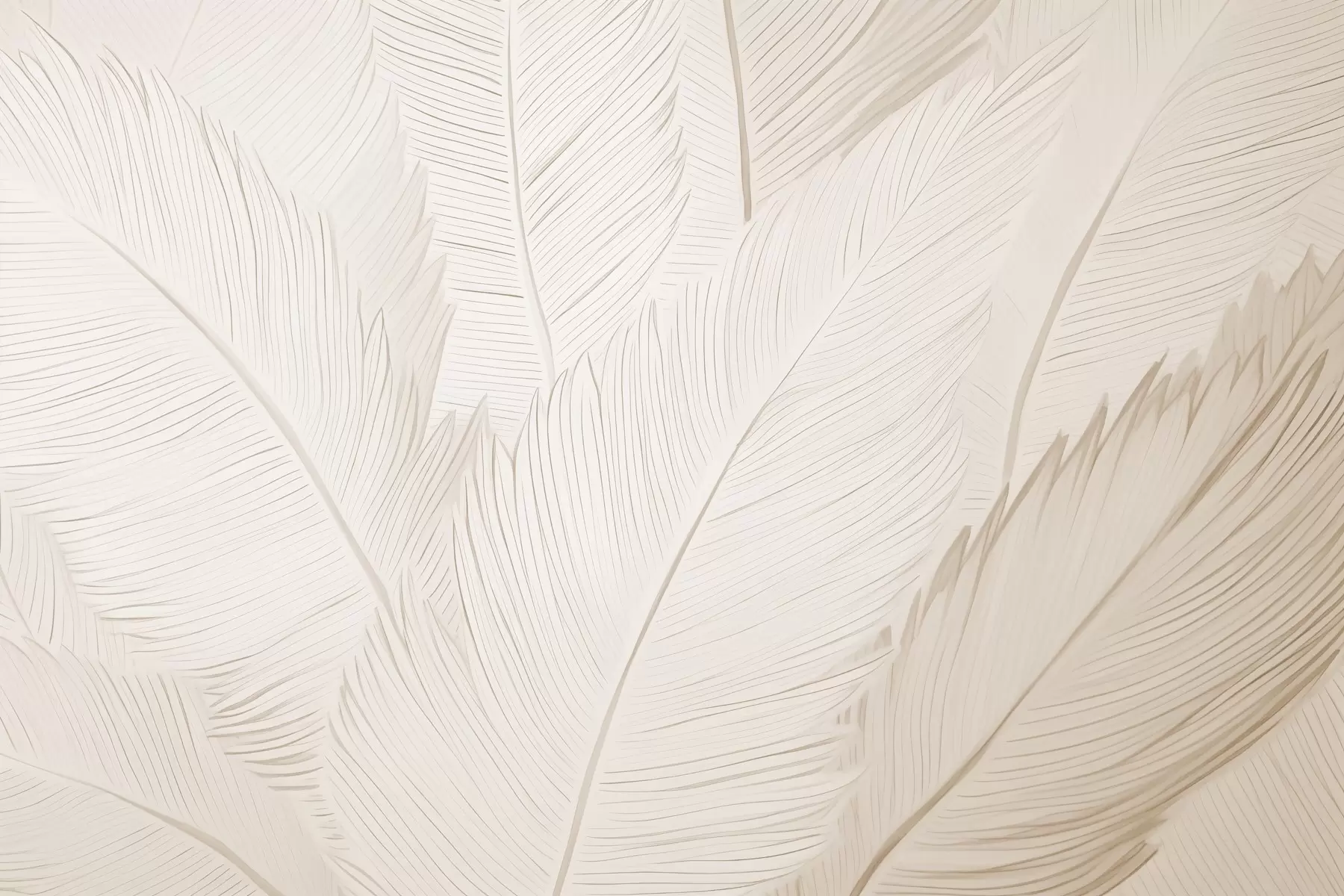 carta da parati Piume soffici nr. w04289