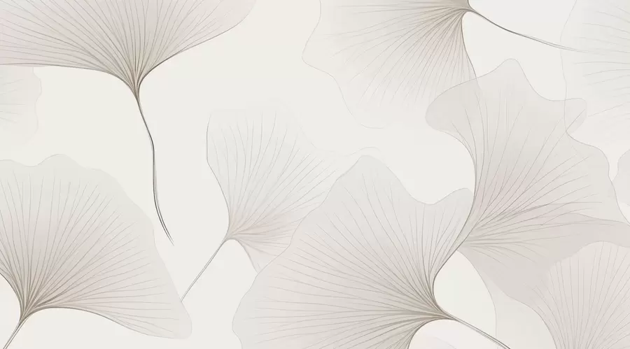 Carta da parati nature Foglie di ginkgo trasparenti 