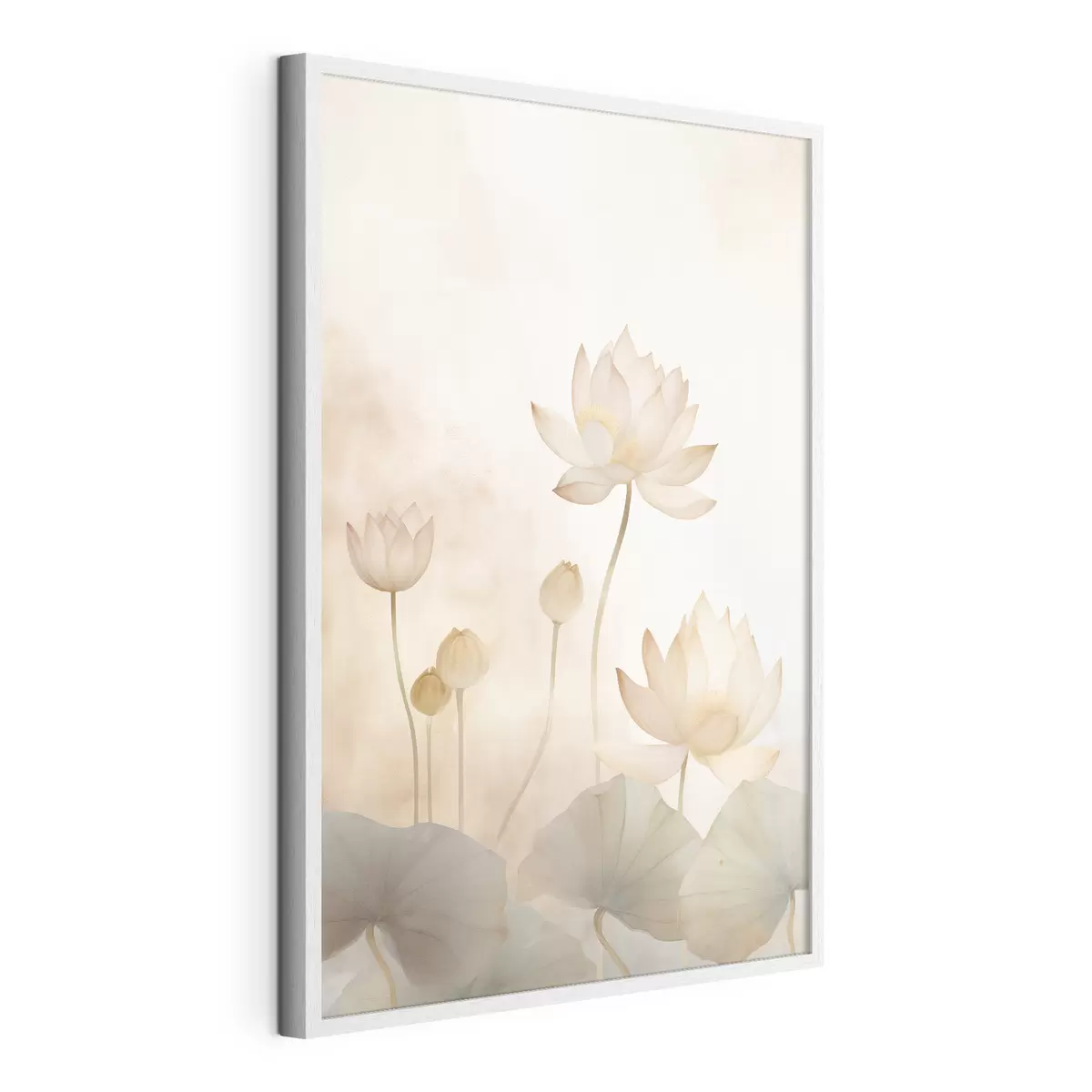 Poster Fiori di loto chiari f45612