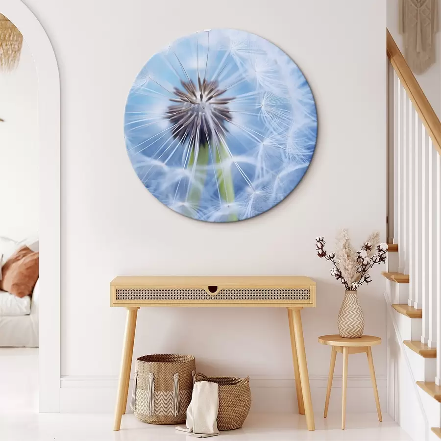 carta da parati Macro ripresa di un dente di leone su sfondo blu nr. r45517