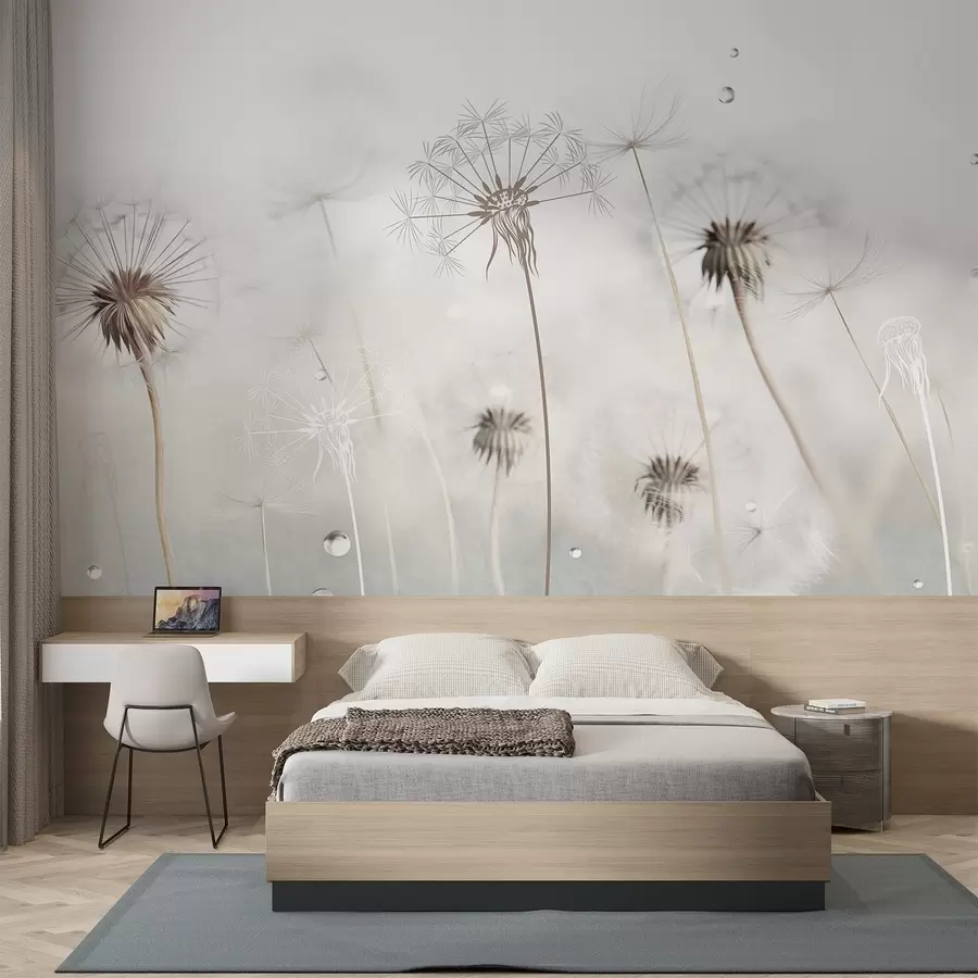 Carta da parati nature Denti di leone con gocce d'acqua, sfondo bianco, primo piano, luce soffusa, natura, botanica, etereo, delicato, minimalista 