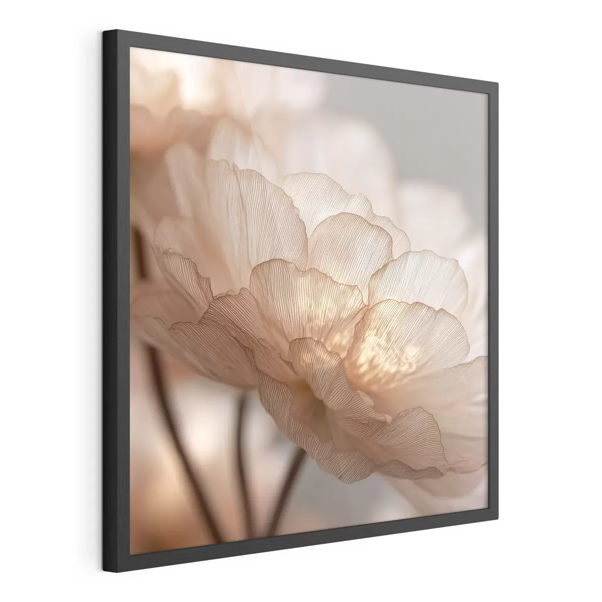 Poster Delicato fiore in un bagliore luminoso f45822