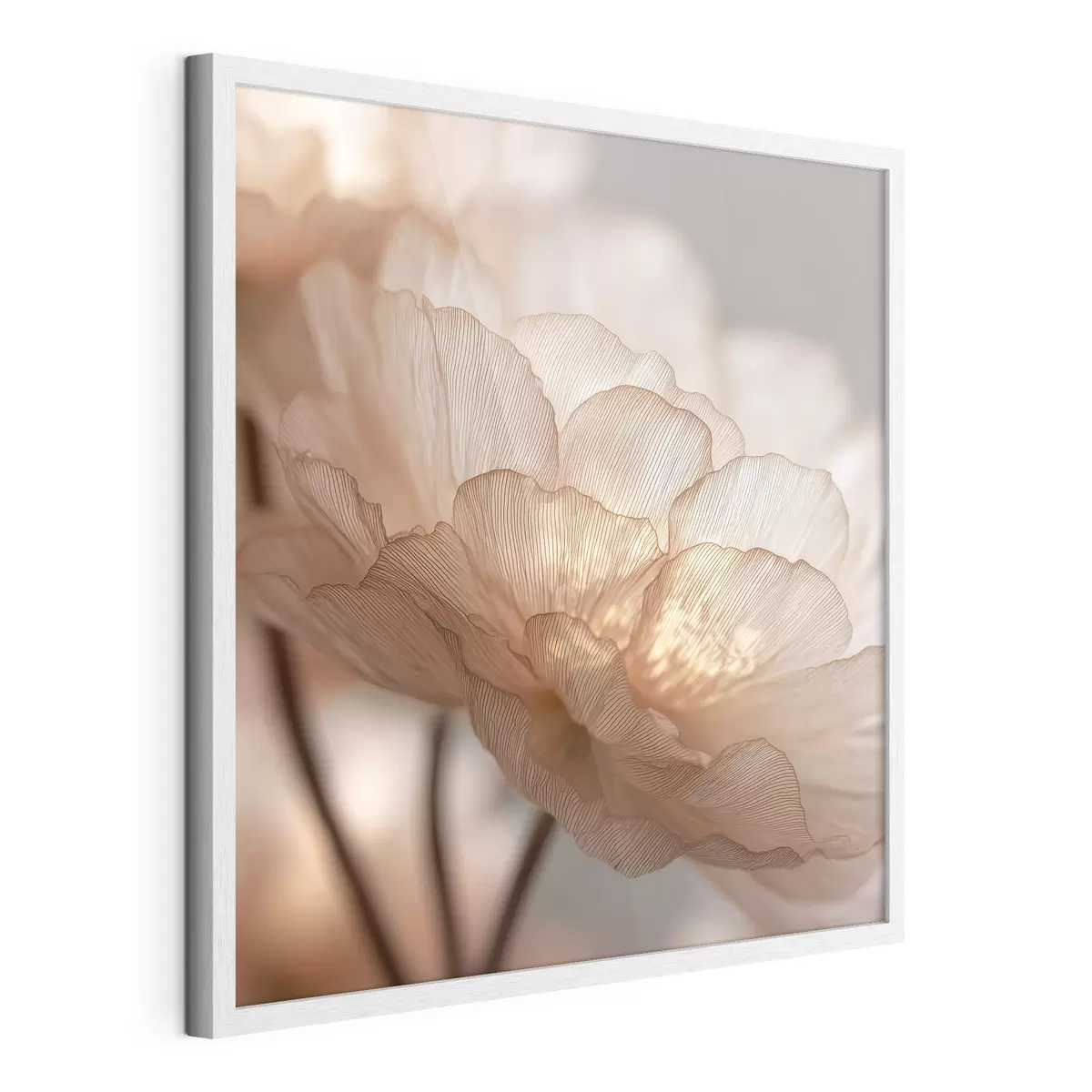 Poster Delicato fiore in un bagliore luminoso f45822