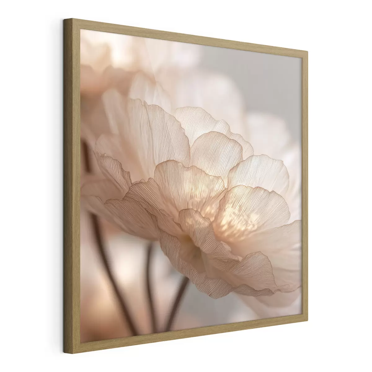 Poster Delicato fiore in un bagliore luminoso f45822