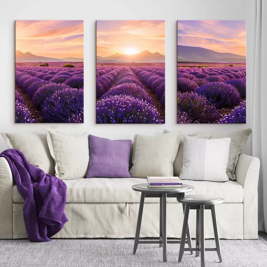 carta da parati Tramonto in un campo di lavanda nr. m00785