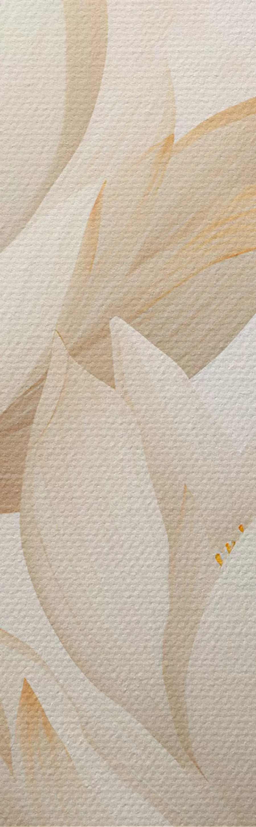 carta da parati Bellissimi fiori di loto nr. m00861