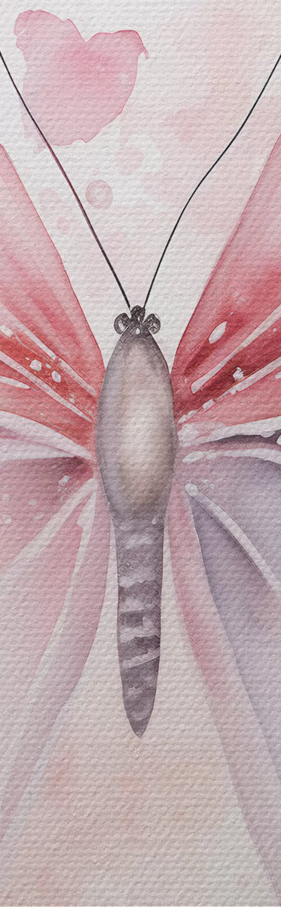 carta da parati Varie farfalle rosa nr. m00864