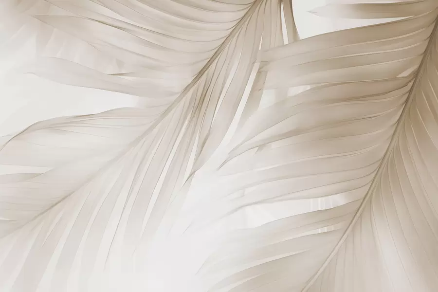 Carta da parati Tropici della Foresta Foglie di felce n. w04727