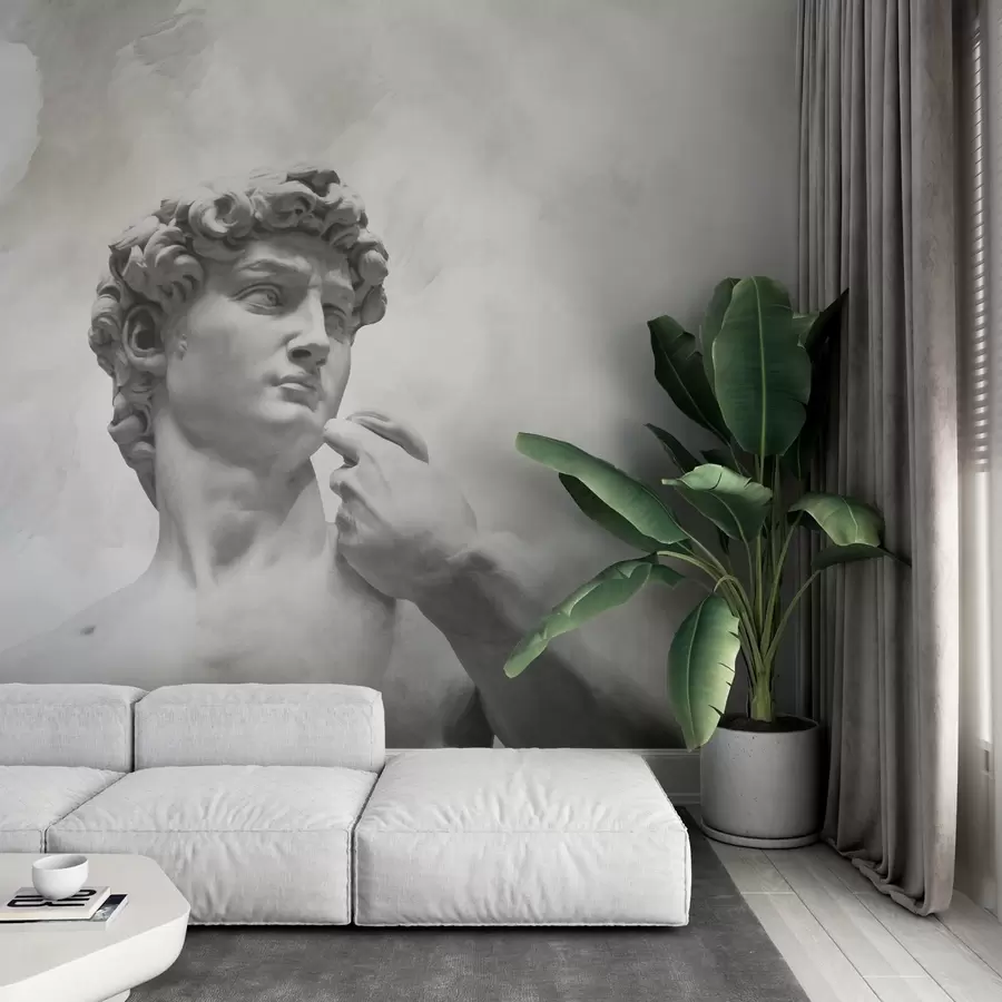 carta da parati Spirito rinascimentale nr. w04767