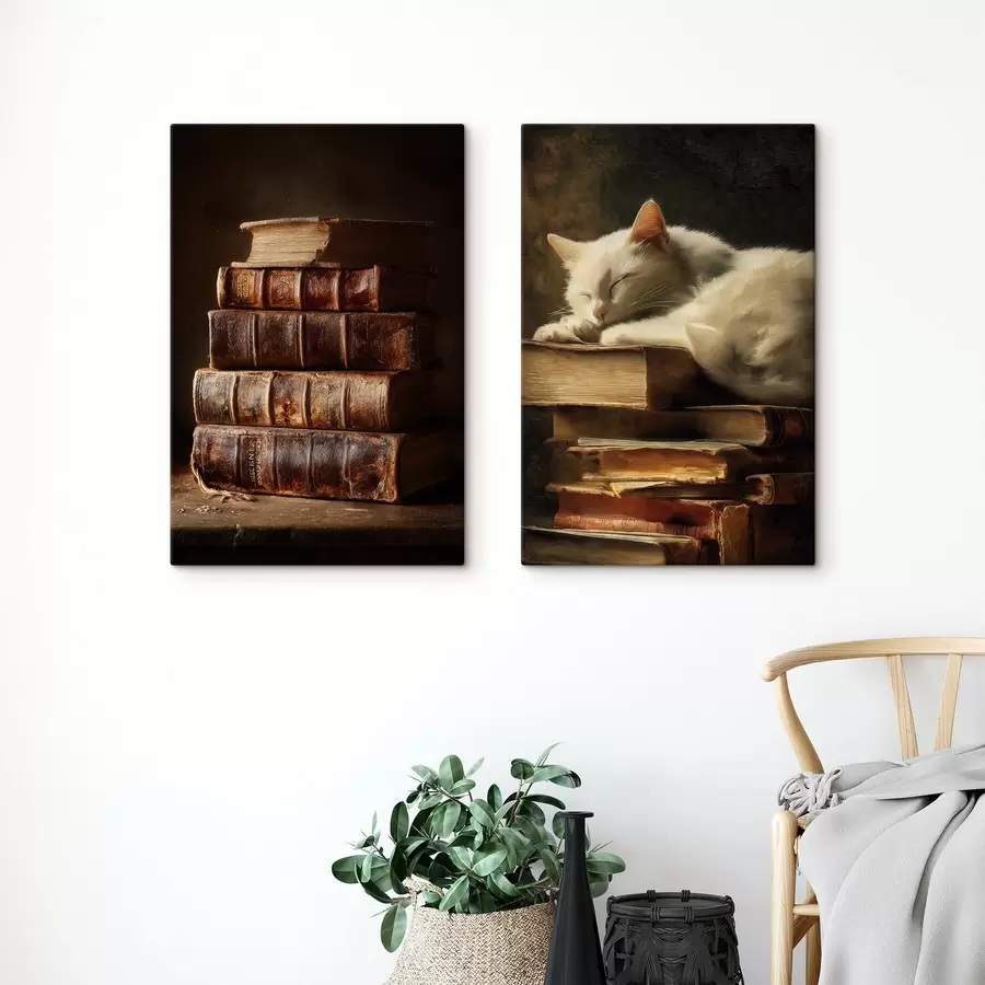 carta da parati Gatto sui libri nr. m00918