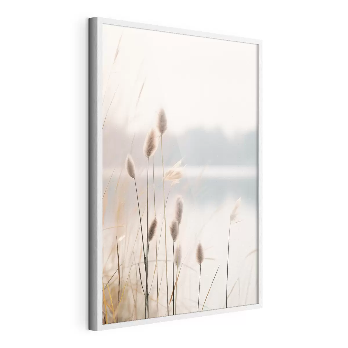 Poster Canneti morbidi in riva a un lago nebbioso, tonalità beige pastello f46504