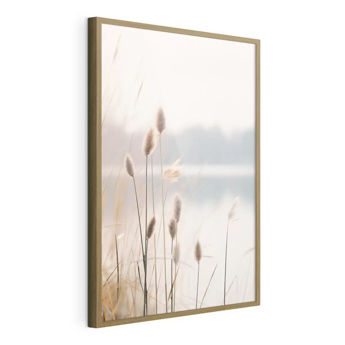 Poster Canneti morbidi in riva a un lago nebbioso, tonalità beige pastello f46504