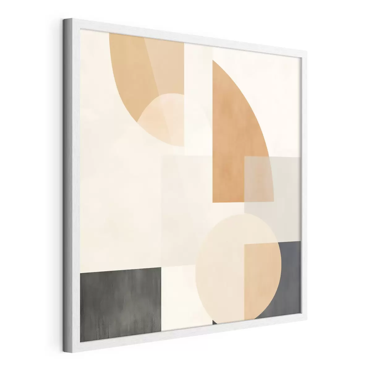 Poster Geometria artistica che combina forme circolari e lineari f46665