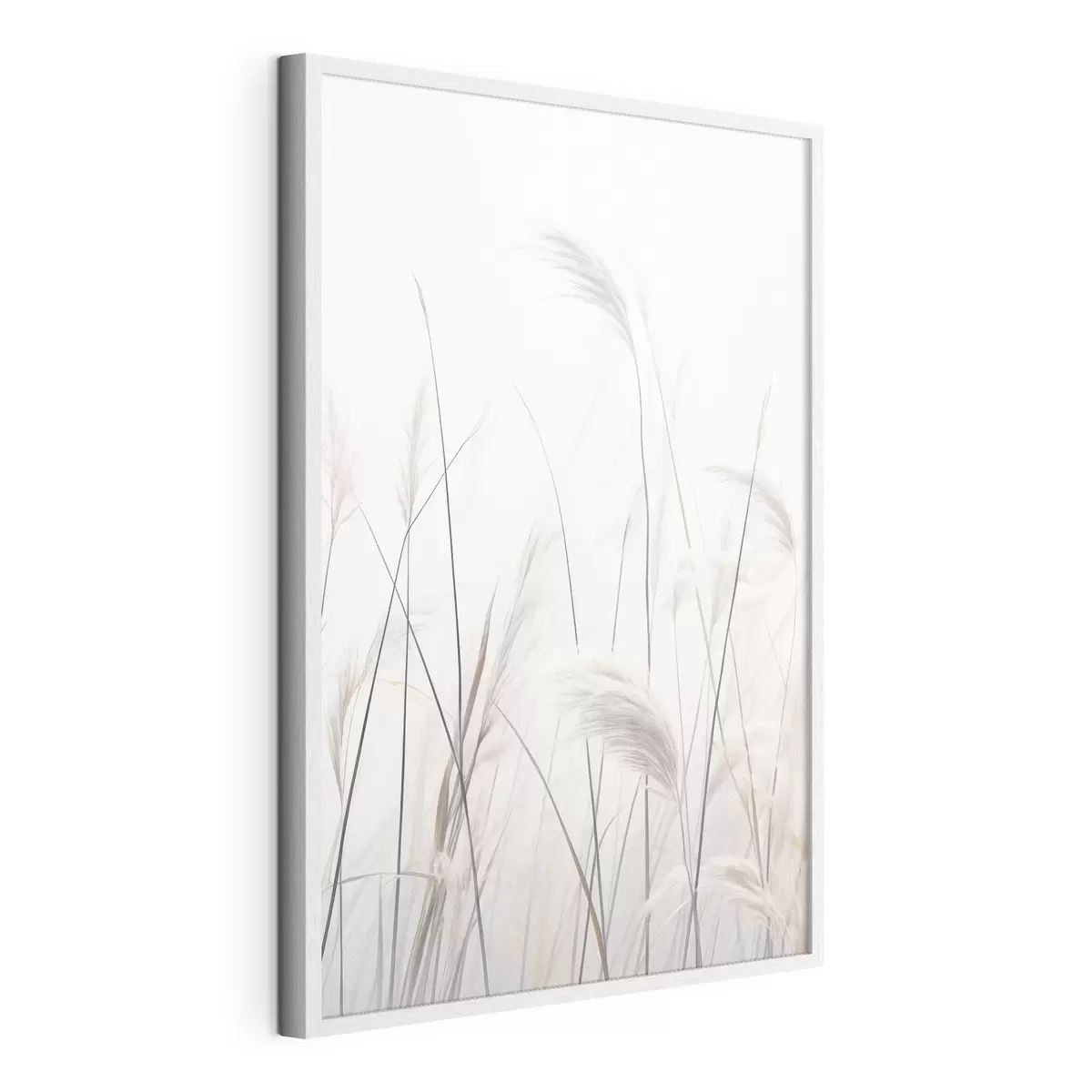 Poster Piante su sfondo chiaro f46883