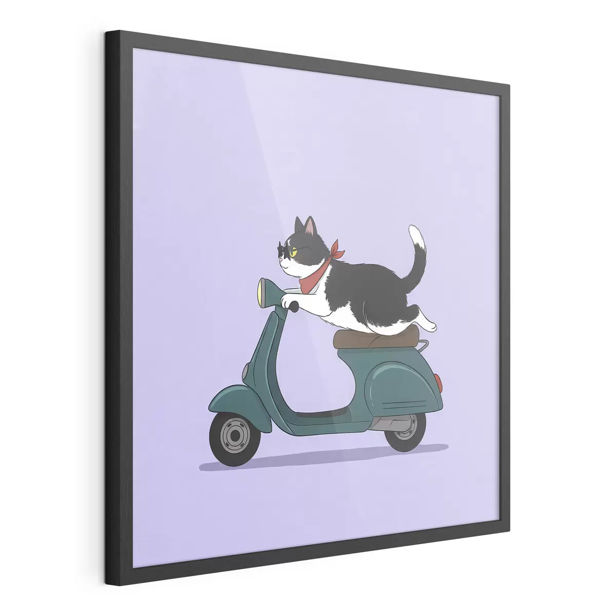 Poster Gatto su un motorino f46847
