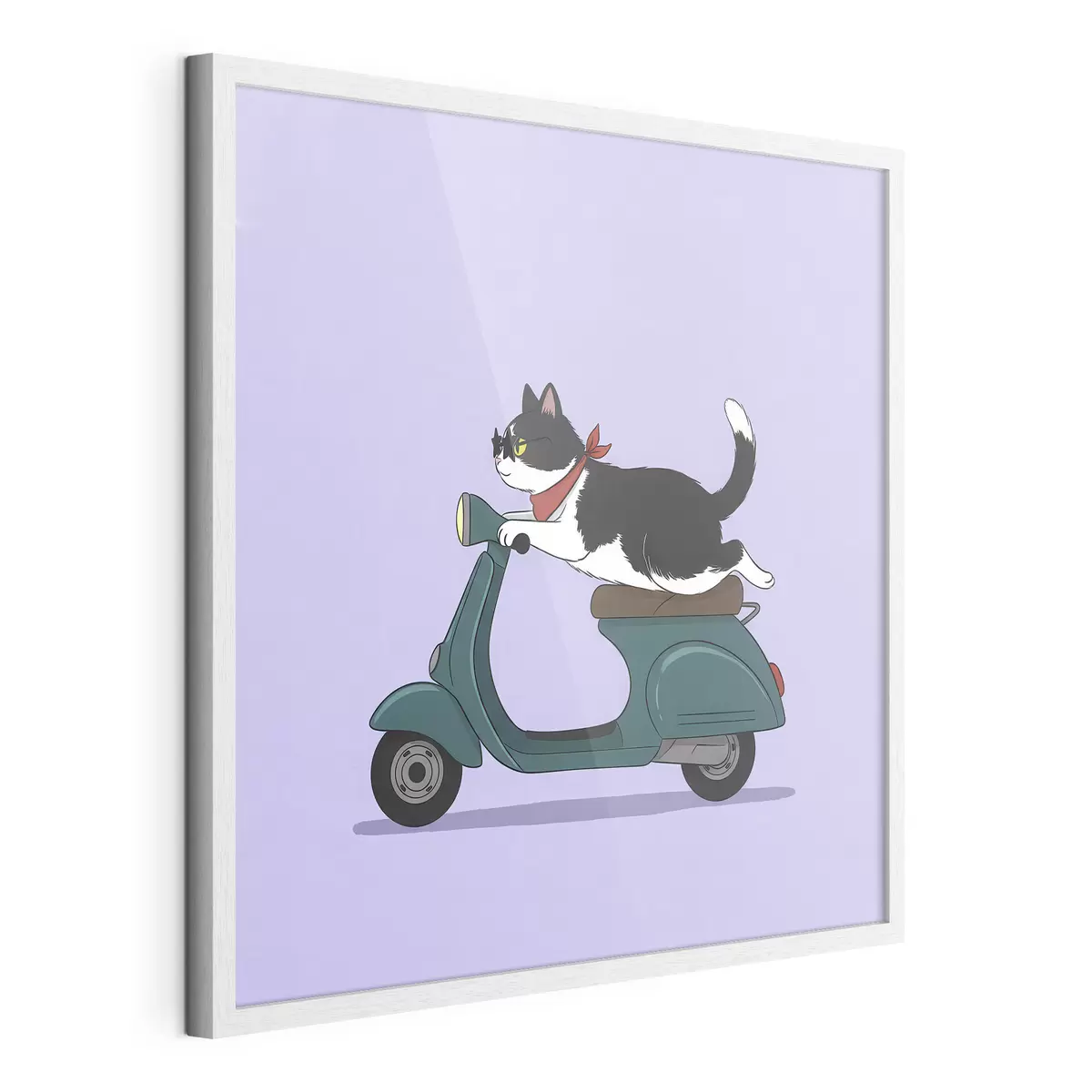 Poster Gatto su un motorino f46847