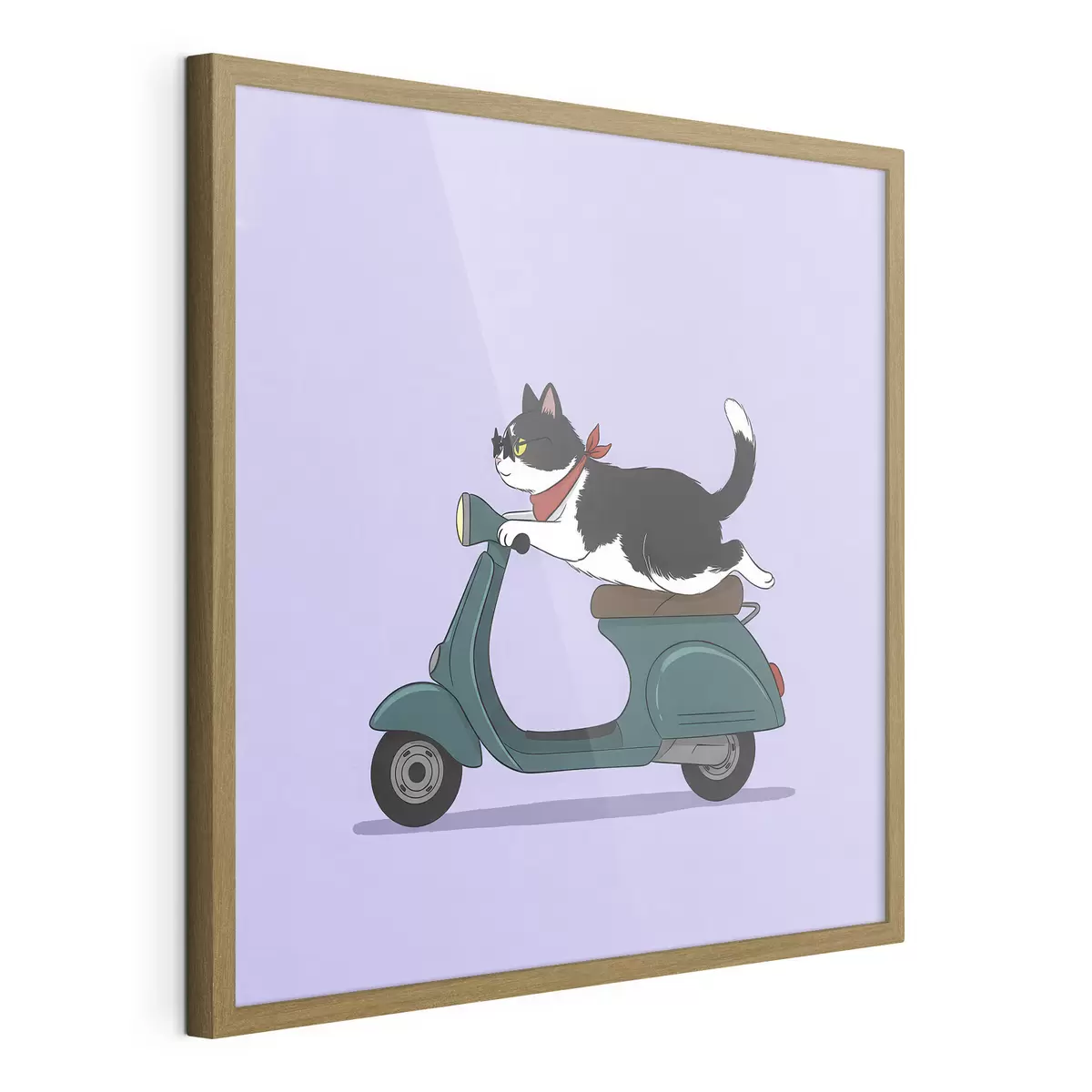 Poster Gatto su un motorino f46847