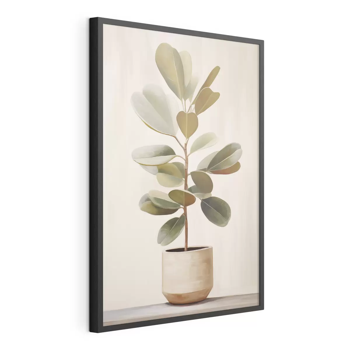 Poster Ficus in vaso f47152