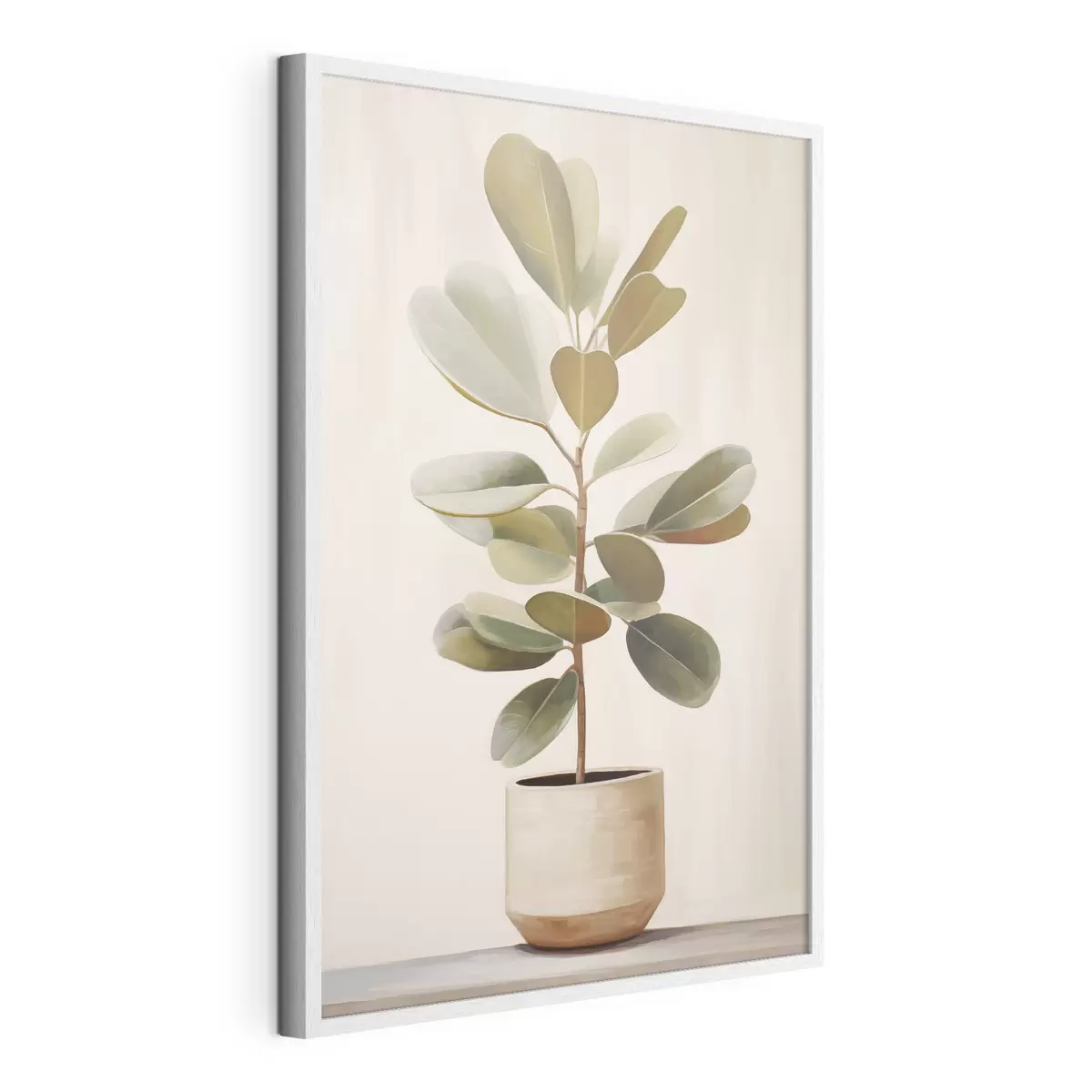 Poster Ficus in vaso f47152