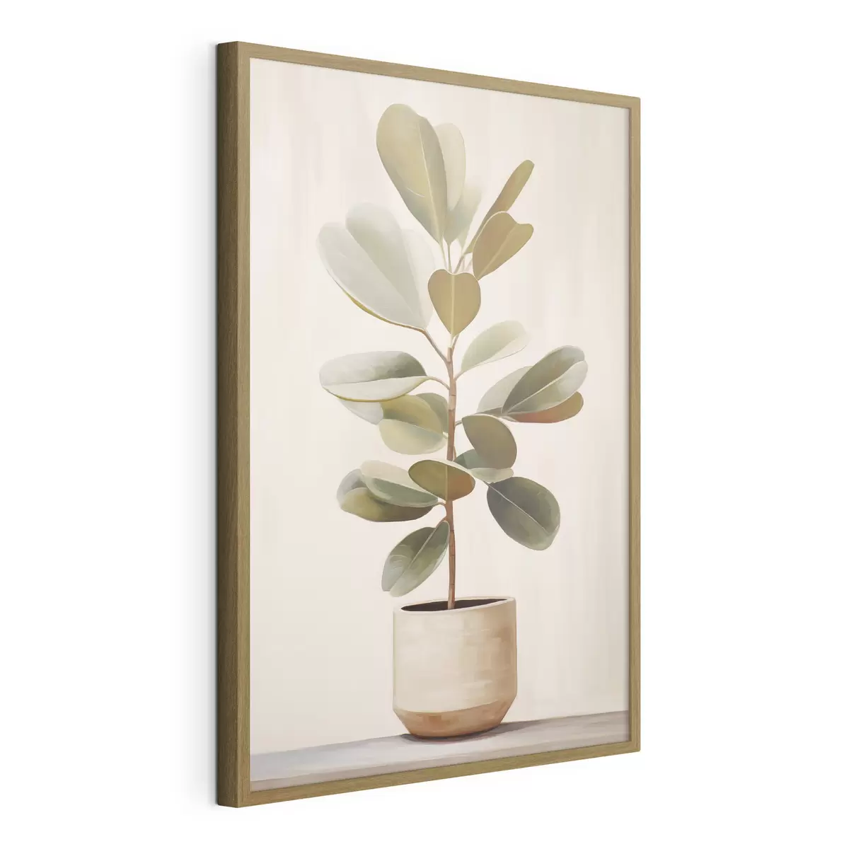 Poster Ficus in vaso f47152