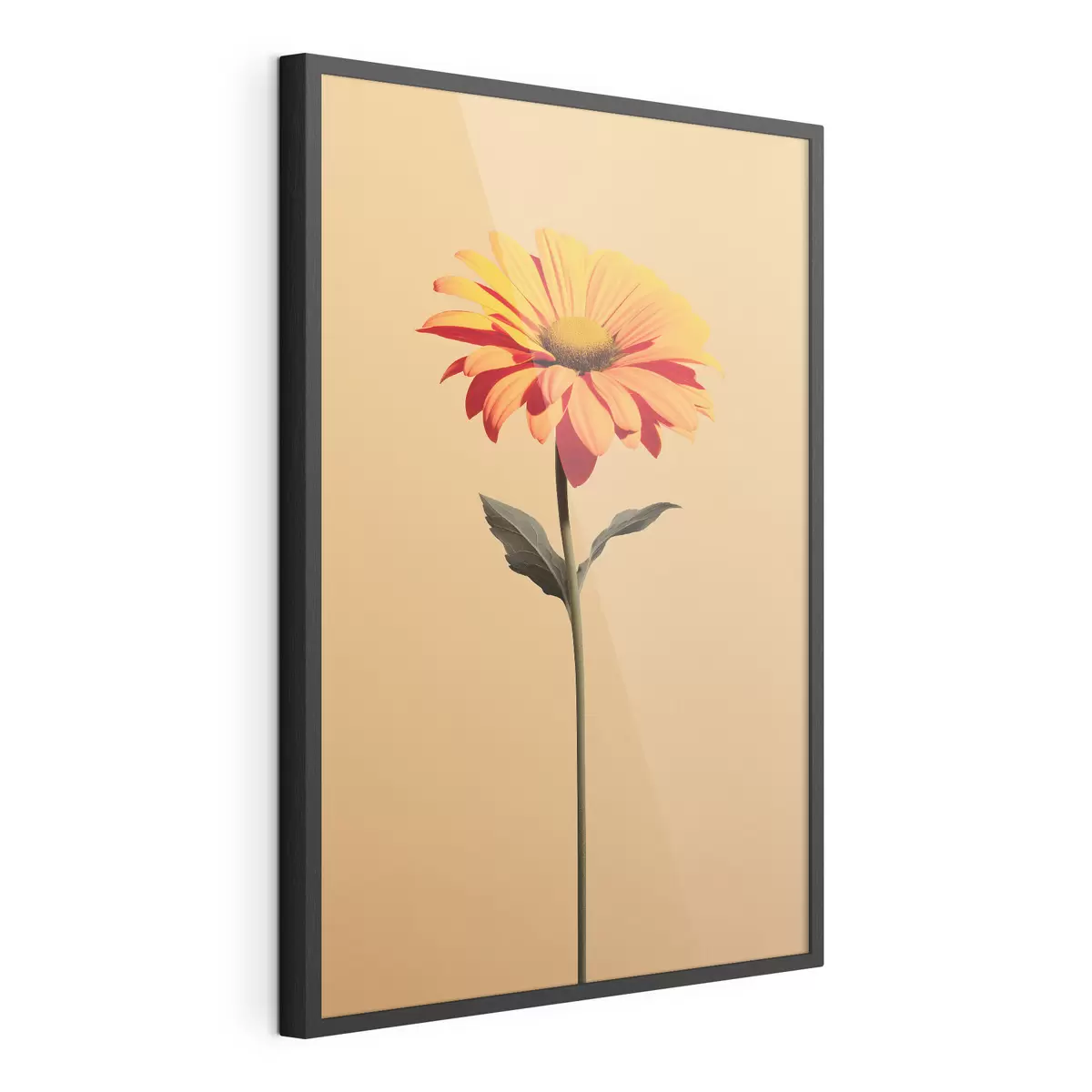 Poster Fiore di gerbera su sfondo uniforme con luce soffusa in stile minimalista f46928