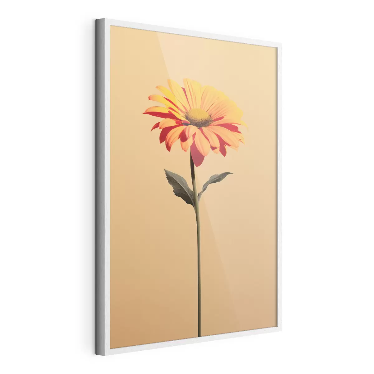 Poster Fiore di gerbera su sfondo uniforme con luce soffusa in stile minimalista f46928