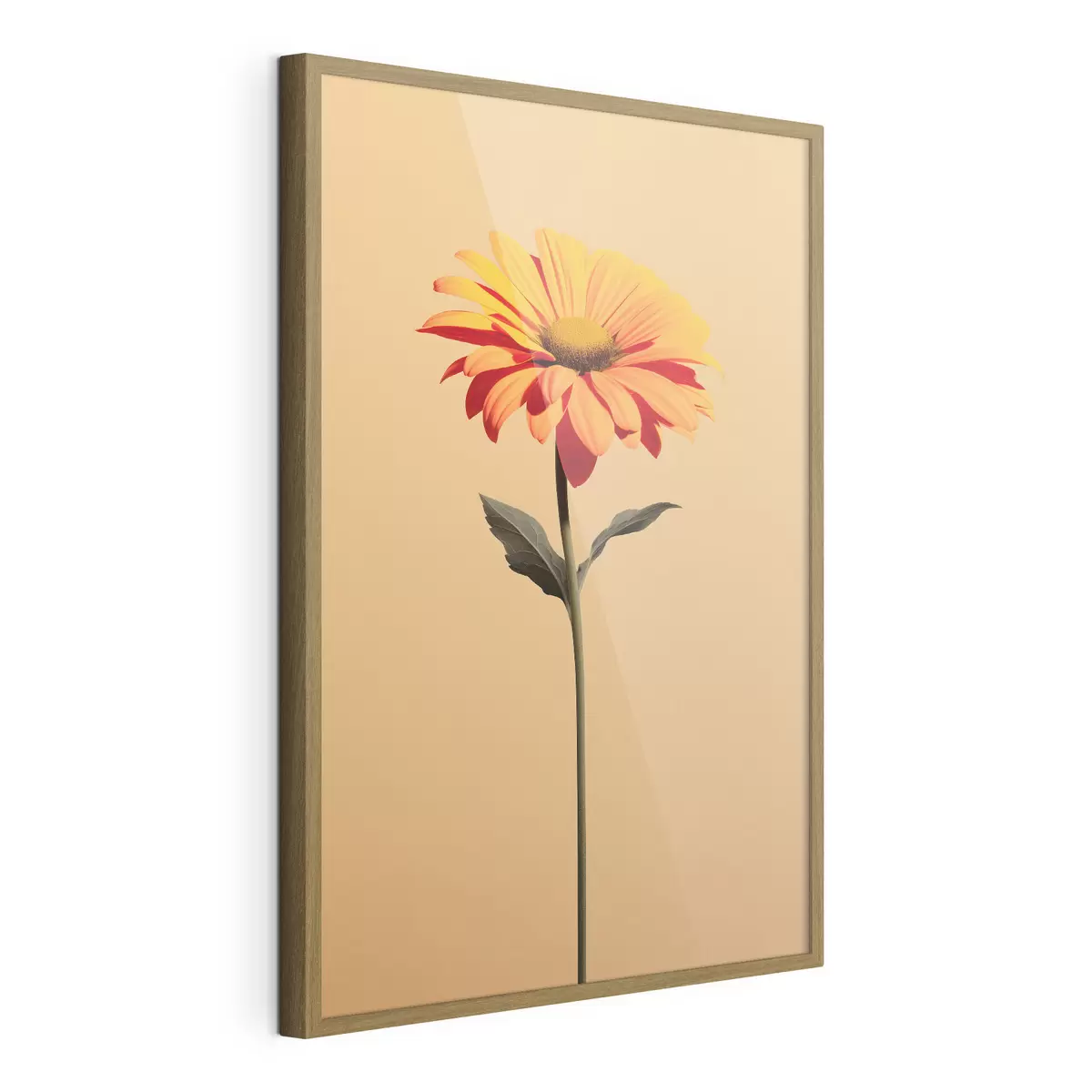 Poster Fiore di gerbera su sfondo uniforme con luce soffusa in stile minimalista f46928