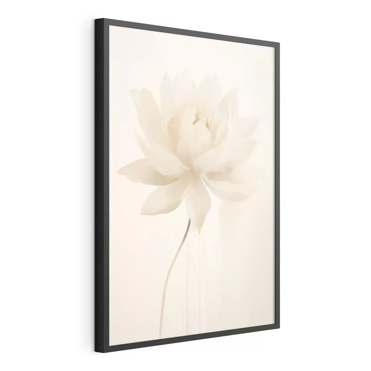 Poster Delicato loto bianco su sfondo chiaro in stile minimalista f46936