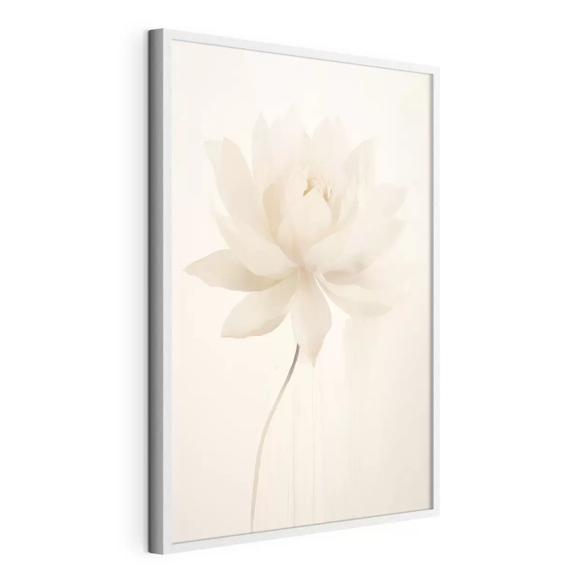 Poster Delicato loto bianco su sfondo chiaro in stile minimalista f46936