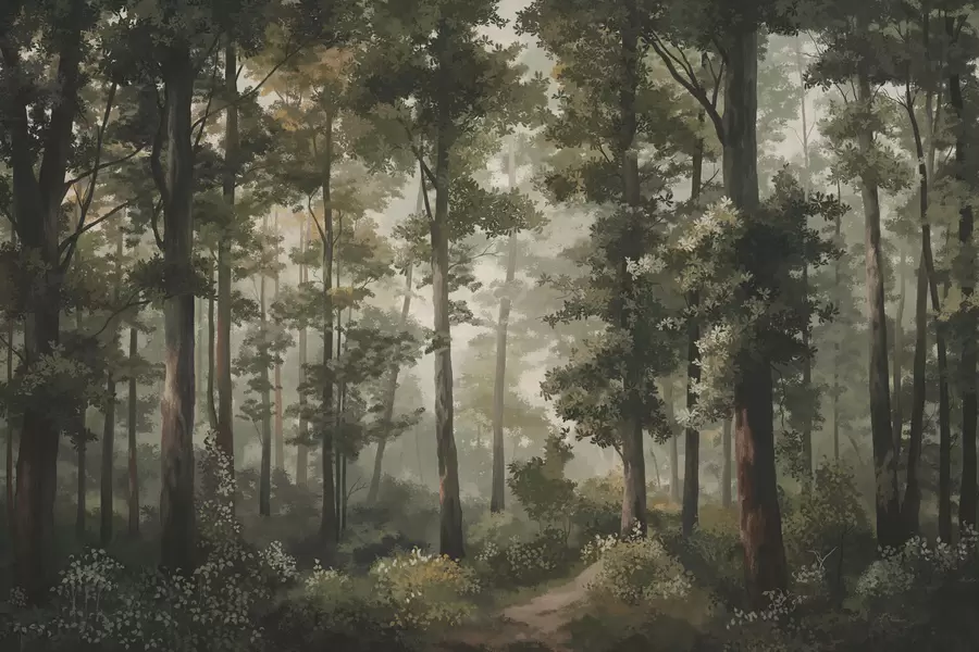Carta da parati nature Illustrazione di una foresta con nebbia, alberi ad alto fusto e un sentiero 