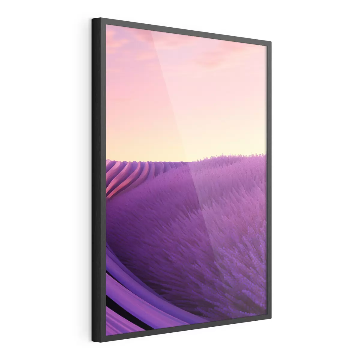 Poster Campo di lavanda al tramonto f47111
