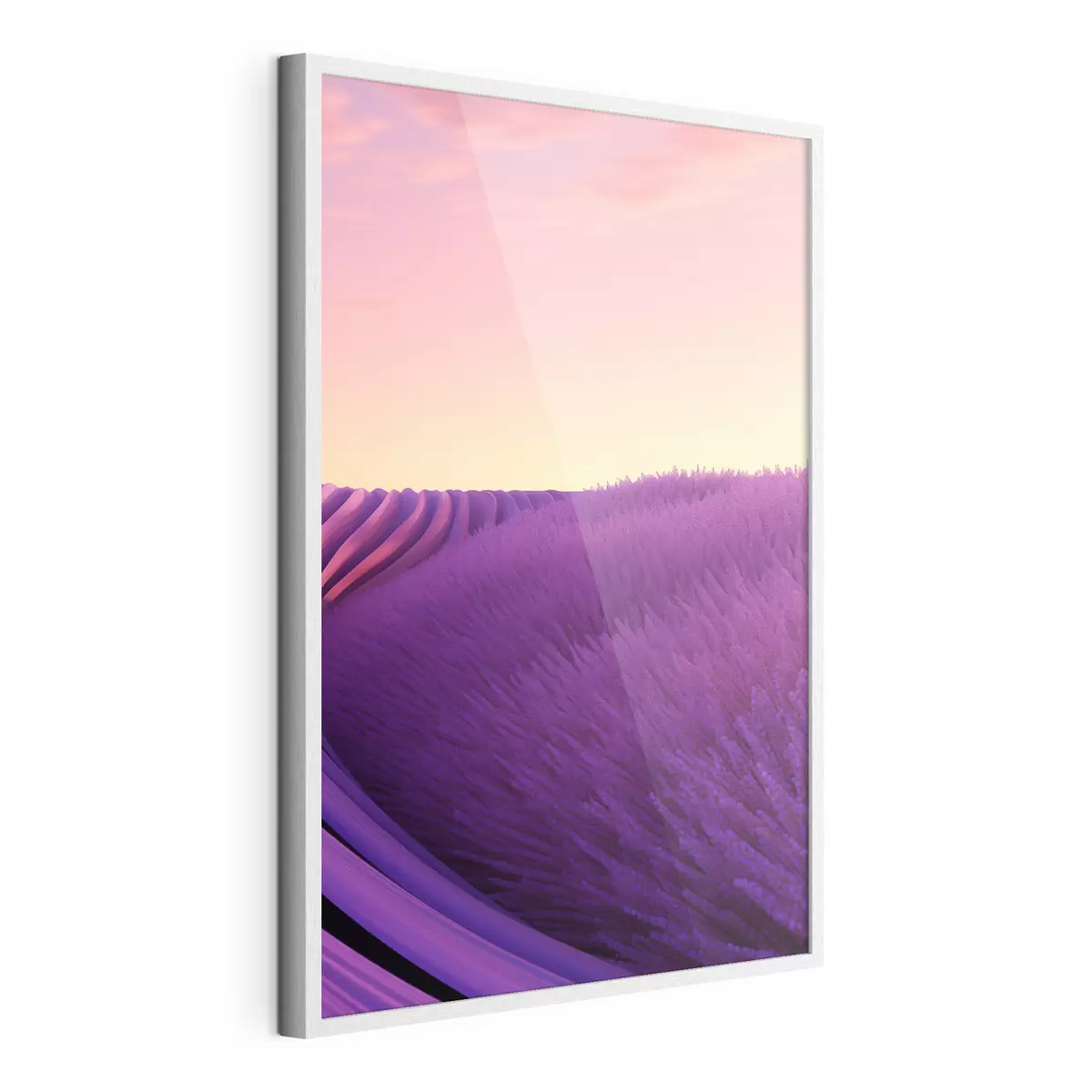 Poster Campo di lavanda al tramonto f47111