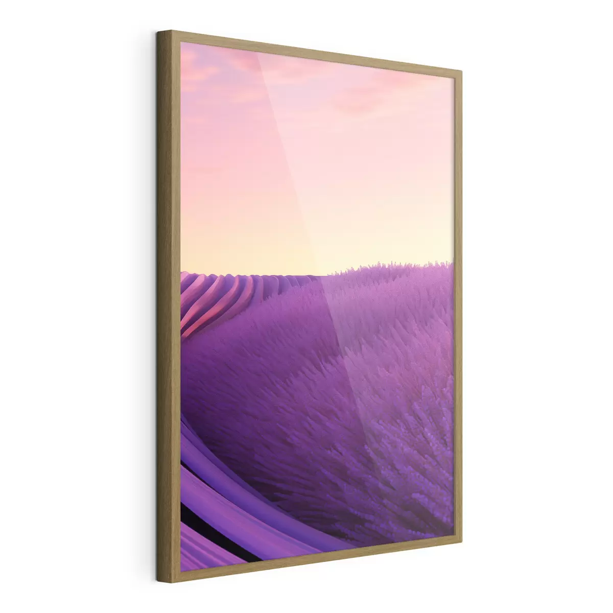 Poster Campo di lavanda al tramonto f47111