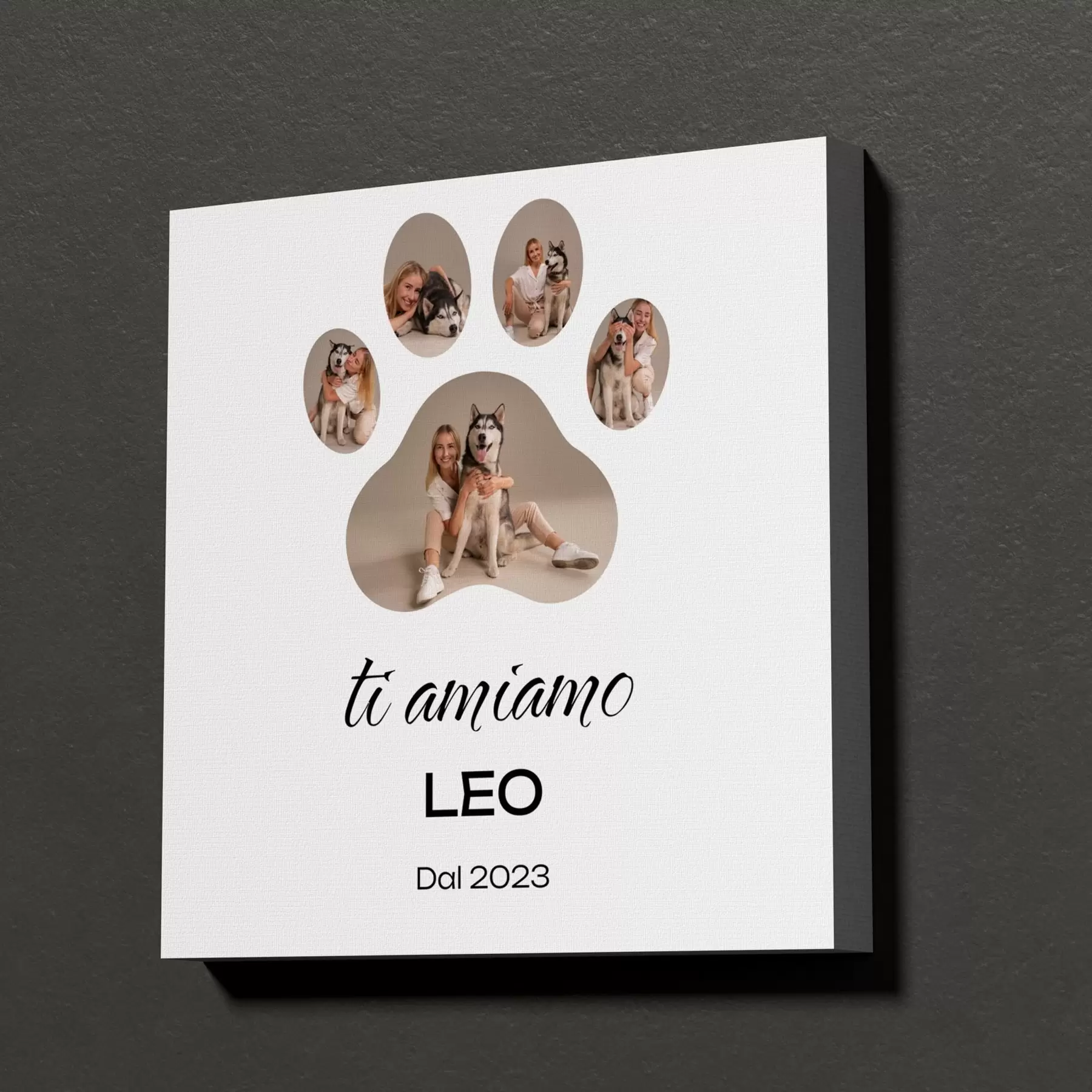 carta da parati Fotocollage a forma di zampa su tela per te e i tuoi amici a quattro zampe nr. s47586