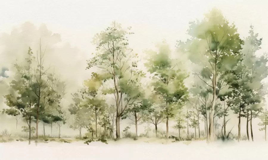 Carta da parati nature Foresta decidua acquerellata 